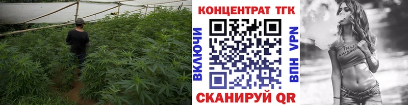 Купить  Сосновый Бор  Дистиллят ТГК жижа 