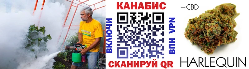 Купить закладки  Сосновый Бор  Бошки Шишки семена 
